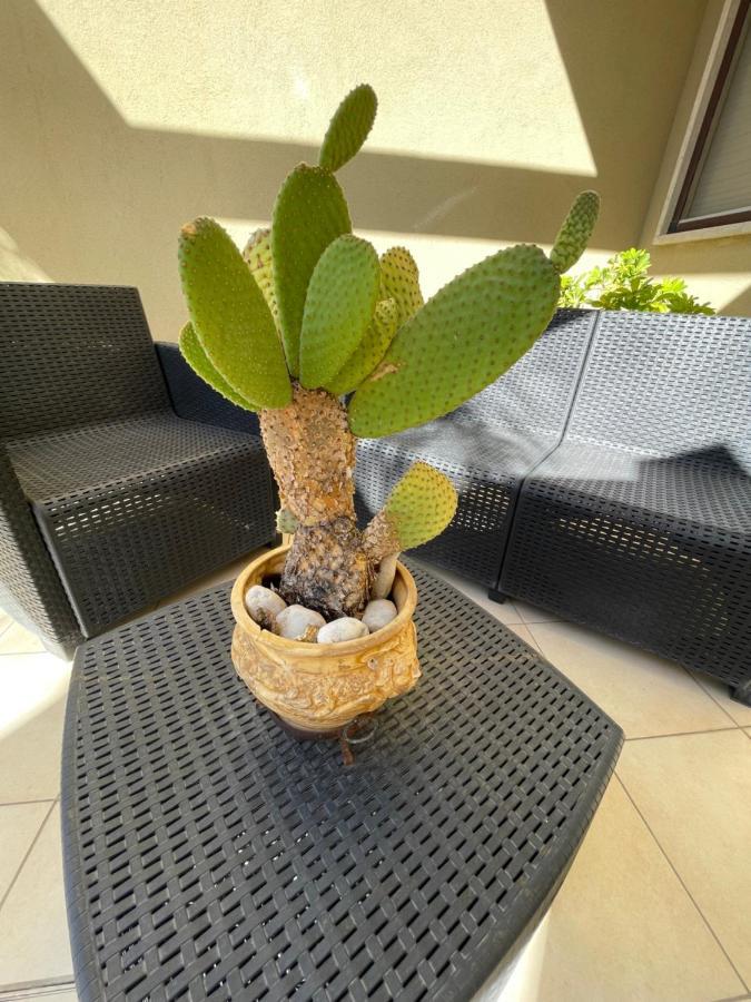 Ancora Del Salento Villa เลชเช ภายนอก รูปภาพ