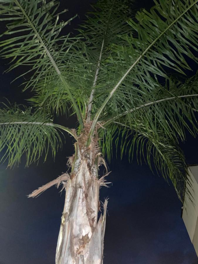 Ancora Del Salento Villa เลชเช ภายนอก รูปภาพ