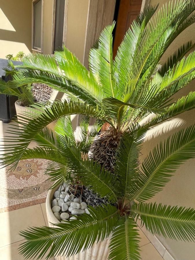 Ancora Del Salento Villa เลชเช ภายนอก รูปภาพ